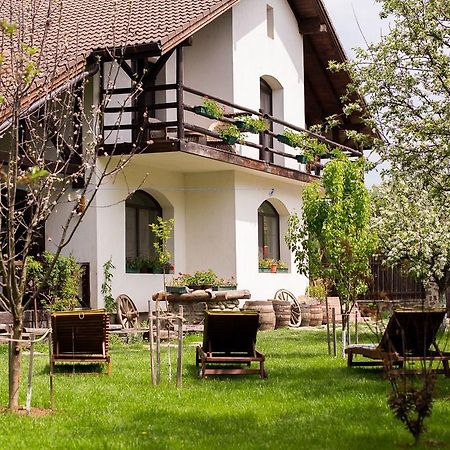 Casa Mosului - Transfagarasan Bed & Breakfast Кырцишоара Экстерьер фото