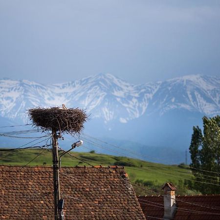 Casa Mosului - Transfagarasan Bed & Breakfast Кырцишоара Экстерьер фото