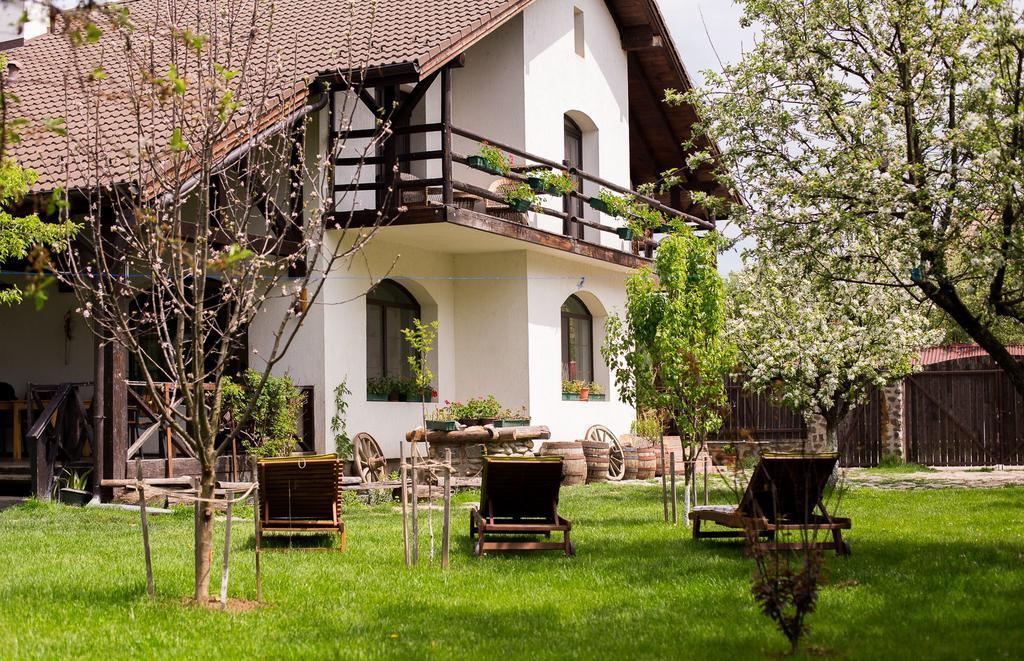 Casa Mosului - Transfagarasan Bed & Breakfast Кырцишоара Экстерьер фото