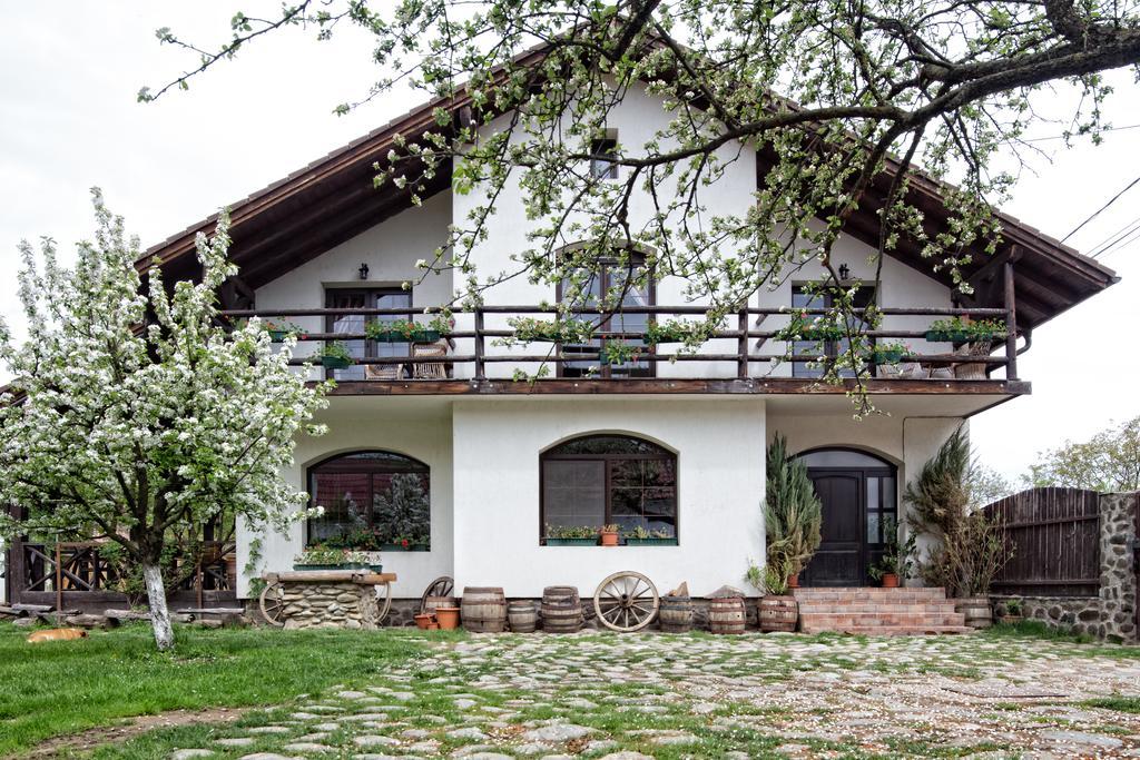 Casa Mosului - Transfagarasan Bed & Breakfast Кырцишоара Экстерьер фото