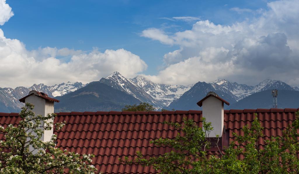 Casa Mosului - Transfagarasan Bed & Breakfast Кырцишоара Экстерьер фото