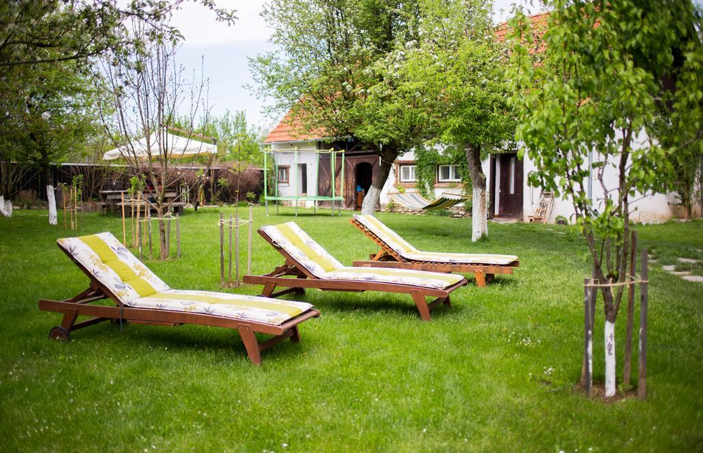 Casa Mosului - Transfagarasan Bed & Breakfast Кырцишоара Экстерьер фото