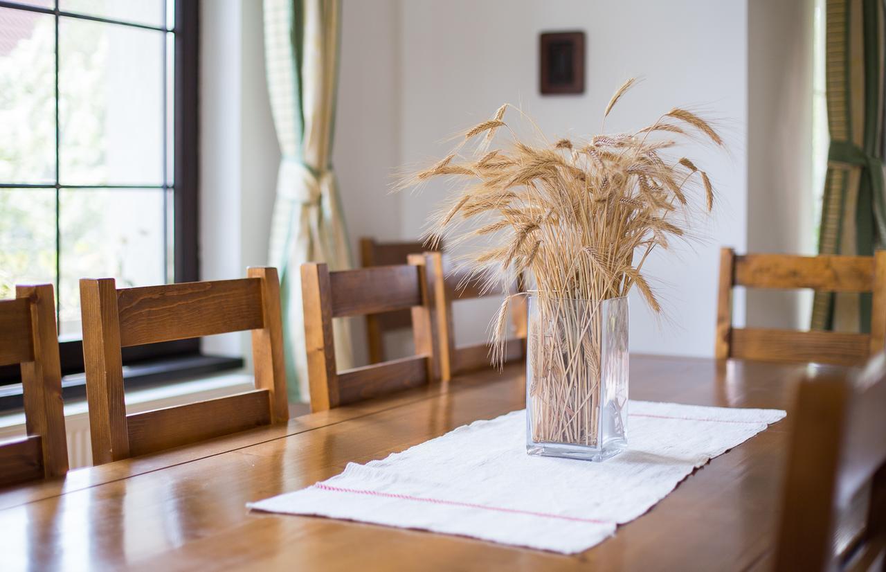 Casa Mosului - Transfagarasan Bed & Breakfast Кырцишоара Экстерьер фото